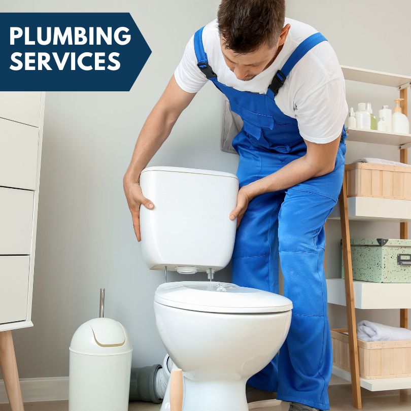 Plumbing Company in Maeystown, IL